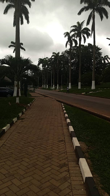 Rain clouds on campus